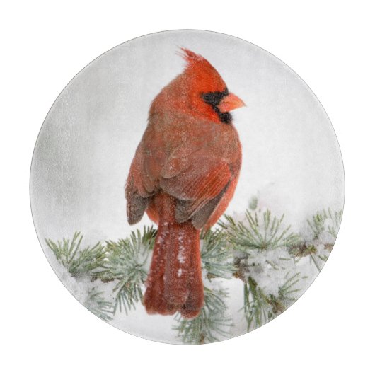 Northern Kardinal männlich on Blue Atlas Cedar Schneidebrett (Vorderseite)
