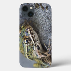 Northern Leopard frog, See-through Island, Case-Mate iPhone Hülle