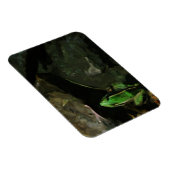 Northern Leopard Frosch auf Rocks Abstrakt Magnet (Rechte Seite)