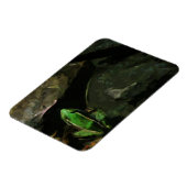 Northern Leopard Frosch auf Rocks Abstrakt Magnet (Linke Seite)
