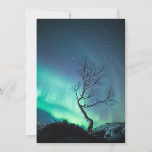 Northern Light Tree Karte