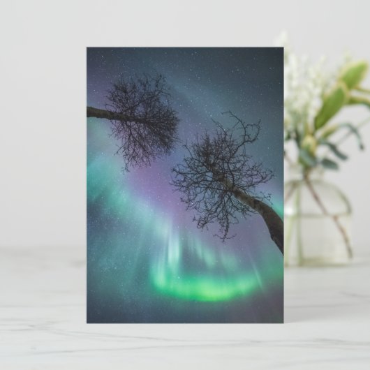 Northern Light Trees Karte (Stehend Vorderseite)