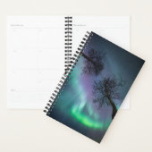 Northern Light Trees Planer (Anzeige)
