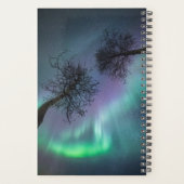 Northern Light Trees Planer (Rückseite)
