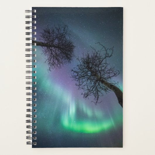 Northern Light Trees Planer (Vorderseite)