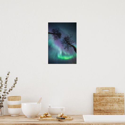 Northern Light Trees Poster (Küche)