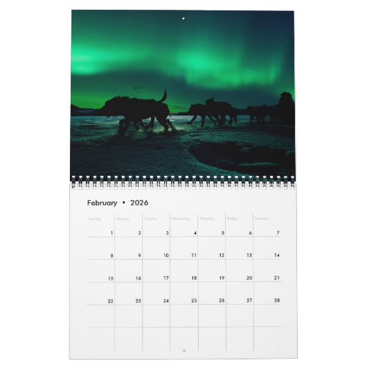 Northern Lights 2020 - Medium Calendar Kalender (Feb 2026)