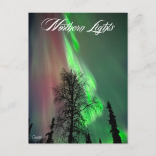 Northern Lights 2 - Postcard Postkarte