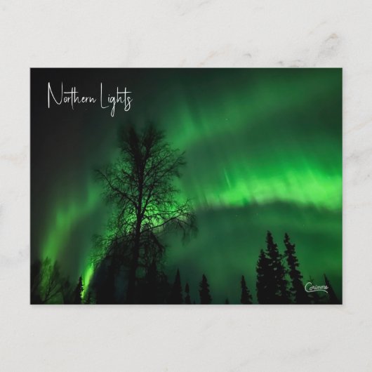 Northern Lights 4 - Postcard Postkarte (Vorderseite)