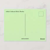 Northern Lights Abisko Nationalpark Schweden Postkarte (Rückseite)