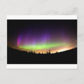 Northern Lights Alaska Sky Night Postkarte (Vorderseite)
