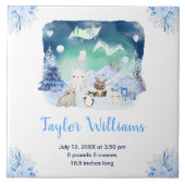 Northern Lights Arctic Animals Birth Statistics Fliese (Vorderseite)