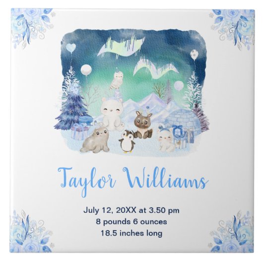 Northern Lights Arctic Animals Birth Statistics Fliese (Vorderseite)