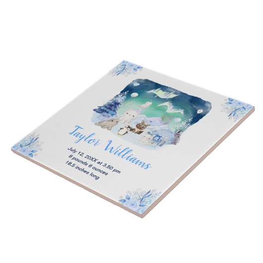 Northern Lights Arctic Animals Birth Statistics Fliese (Seite)