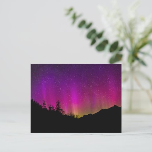 Northern Lights Aurora Borealis Starry Night Sky Postkarte (Stehend Vorderseite)