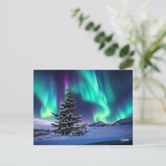Northern Lights Christmas - Postcard Postkarte (Stehend Vorderseite)