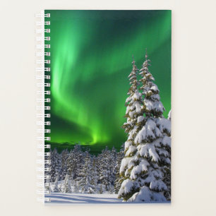 Northern lights during winter planer