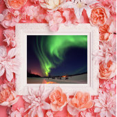 Northern Lights Foto