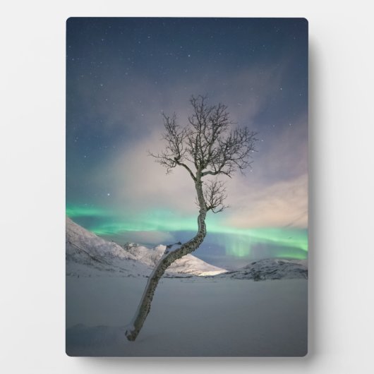 Northern Lights Foto Fotoplatte (Vorderseite)