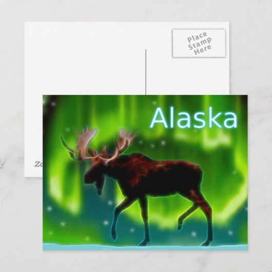 Northern Lights Moose Postkarte (Vorne/Hinten)