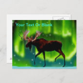 Northern Lights Moose Postkarte (Vorne/Hinten)