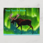 Northern Lights Moose Postkarte (Vorderseite)