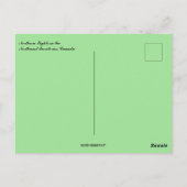 Northern Lights Northwest Territories Canada Postkarte (Rückseite)