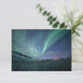 Northern Lights Norwegen Cards (Stehend Vorderseite)