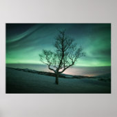 Northern Lights Norwegen Poster (Vorne)