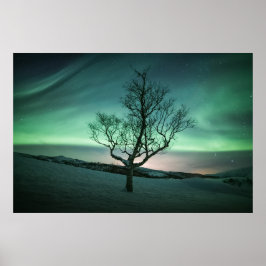 Northern Lights Norwegen Poster