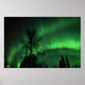 Northern Lights - Poster (Vorne)