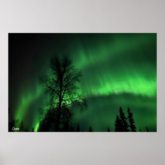 Northern Lights - Poster (Vorne)