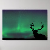 Northern Lights Poster (Vorne)