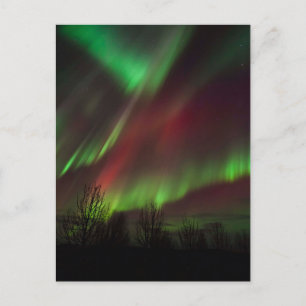 Northern Lights   Scandinavia, Iceland Postkarte