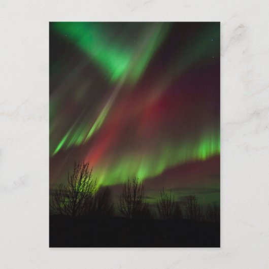 Northern Lights | Scandinavia, Iceland Postkarte (Vorderseite)