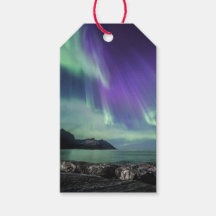 Northern Lights Senja