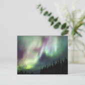 Northern Lights Sky Peace Liebe Winterfoto Postkarte (Stehend Vorderseite)