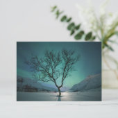 Northern Lights Tree Card (Stehend Vorderseite)