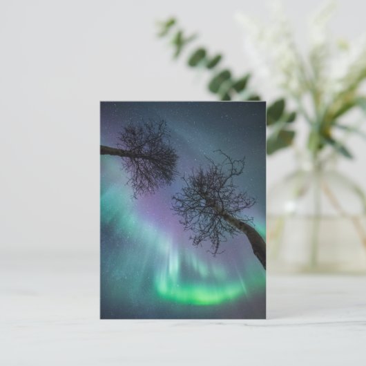 Northern Lights Trees Postkarte (Stehend Vorderseite)
