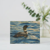 Northern Loon Postkarte (Stehend Vorderseite)
