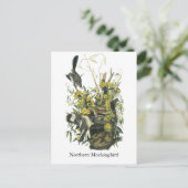 Northern Mocking Bird, John Audubon Postkarte (Stehend Vorderseite)