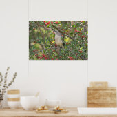 Northern Mockingbird in Red Berry Tree Poster (Küche)