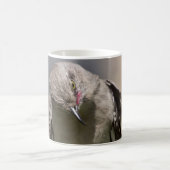 Northern Mockingbird nimmt Bow Apparel & Gifts Kaffeetasse (Mittel)