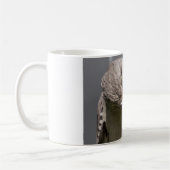 Northern Mockingbird nimmt Bow Apparel & Gifts Kaffeetasse (Links)