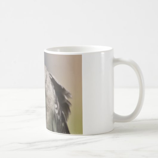 Northern Mockingbird nimmt Bow Apparel & Gifts Kaffeetasse (Rechts)