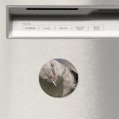 Northern Mockingbird nimmt Bow Apparel & Gifts Magnet (In Situ (Geschirrspüler))