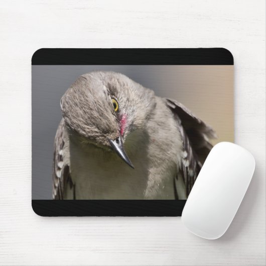 Northern Mockingbird nimmt Bow Apparel & Gifts Mousepad (Mit Mouse)