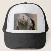 Northern Mockingbird nimmt Bow Apparel & Gifts Truckerkappe (Vorderseite)
