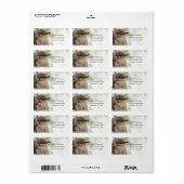 Northern Mockingbird Portrait Bird Foto Address Adressaufkleber (Vorne)