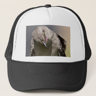 Northern Mockingbird takes a Bow Apparel & Gifts Truckerkappe